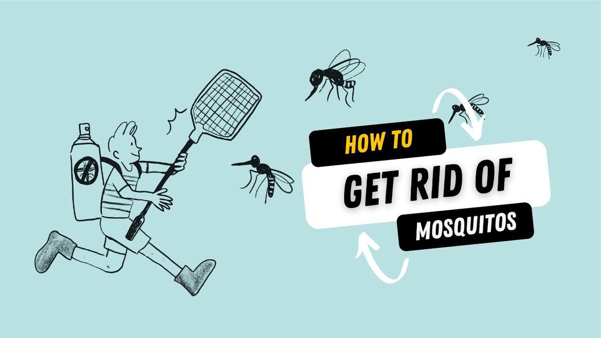 'Video thumbnail for How To Get Rid of Mosquito Bite and Insect Bite Instantly'