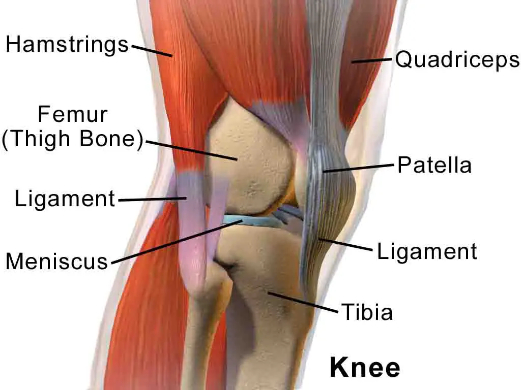 Knee pain when bent