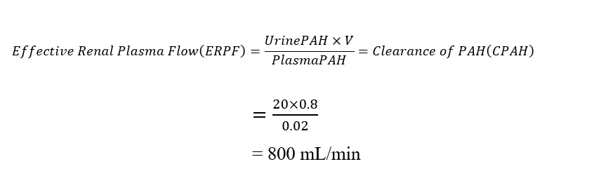 Renal Plasma Flow Calculation 2