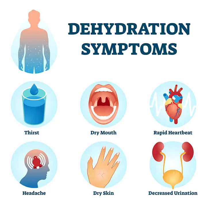 Symptoms of dehydration back pain