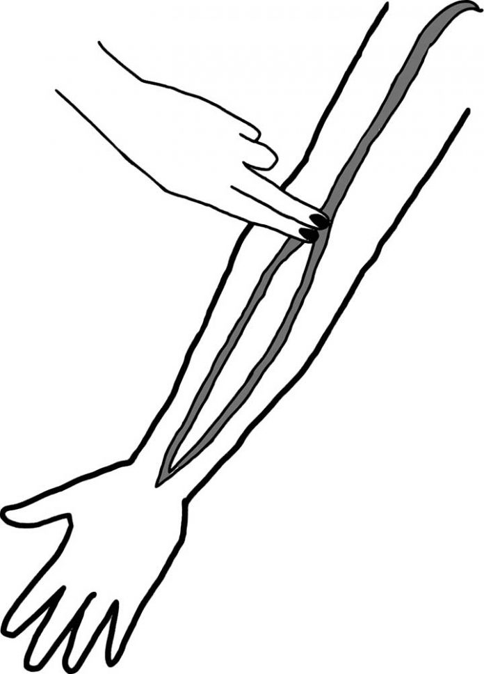 Brachial Pulse Location Vital Sign Measurement Clinical Points