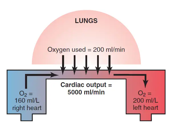 Oxygen Fick Principle for Measuring Cardiac Index by measuring CO