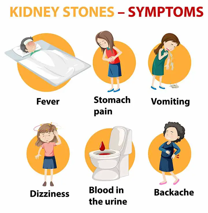 signs and symptoms of renal parenchymal disease infographics