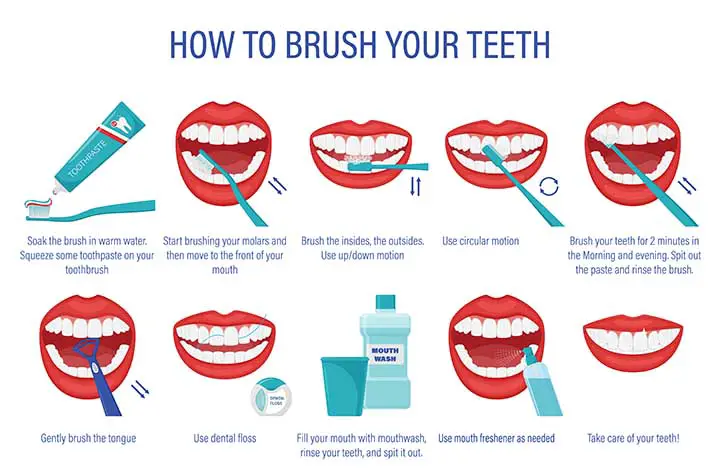 Teeth cleaning-Dental Cleaning Guide - How to Brush