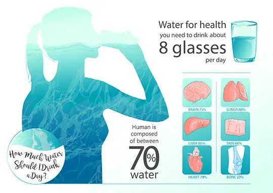 70% of your body is water infographic