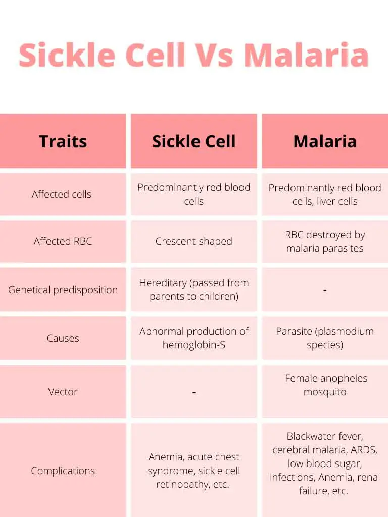 compare sickle cell disease and malaria